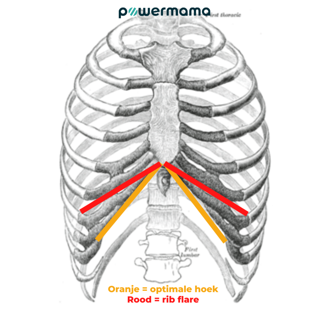 Rib flare na de bevalling PowerMama