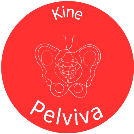 logo kine pelviva